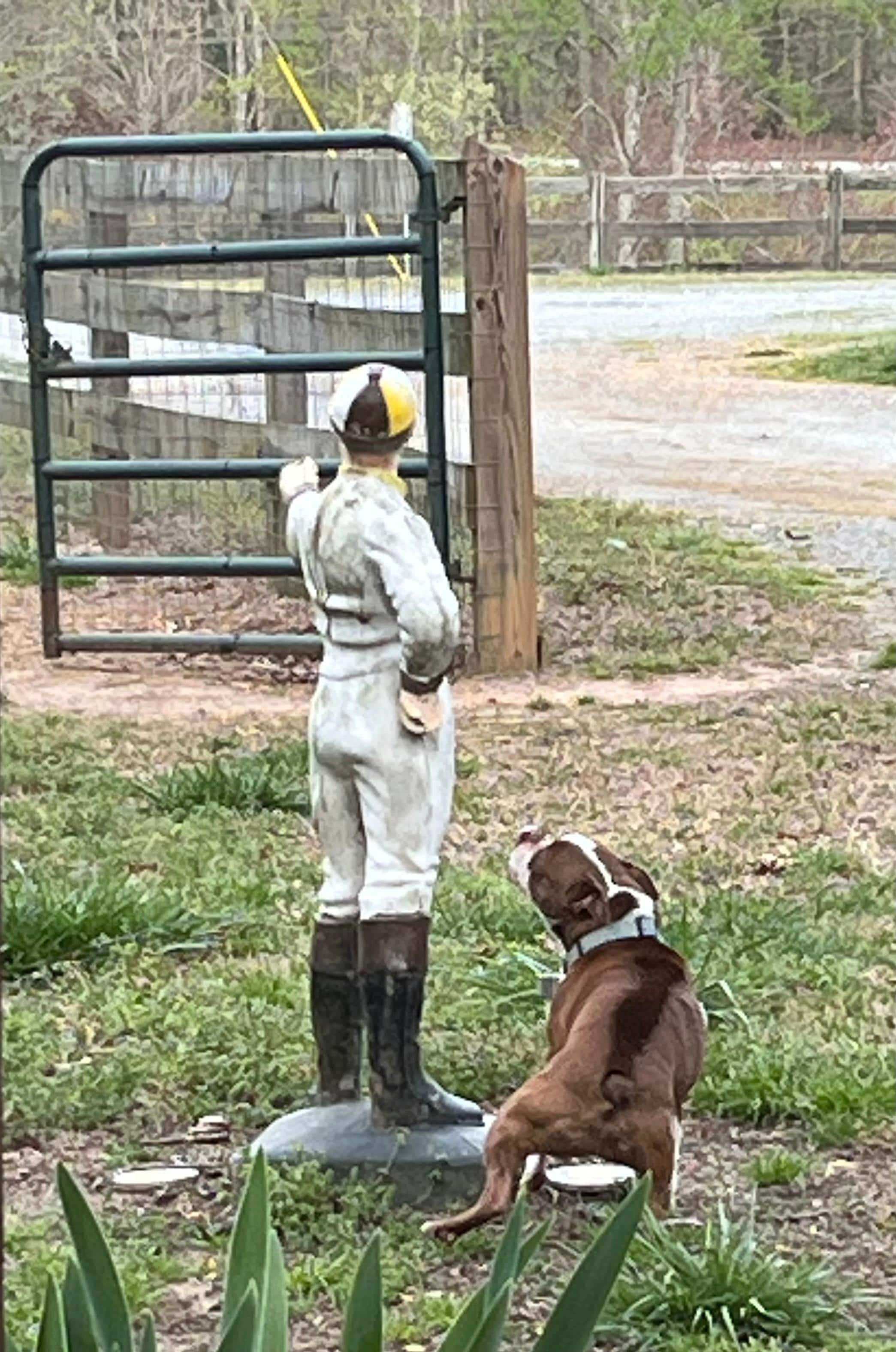 Life like yard jockey 