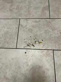 Floor
