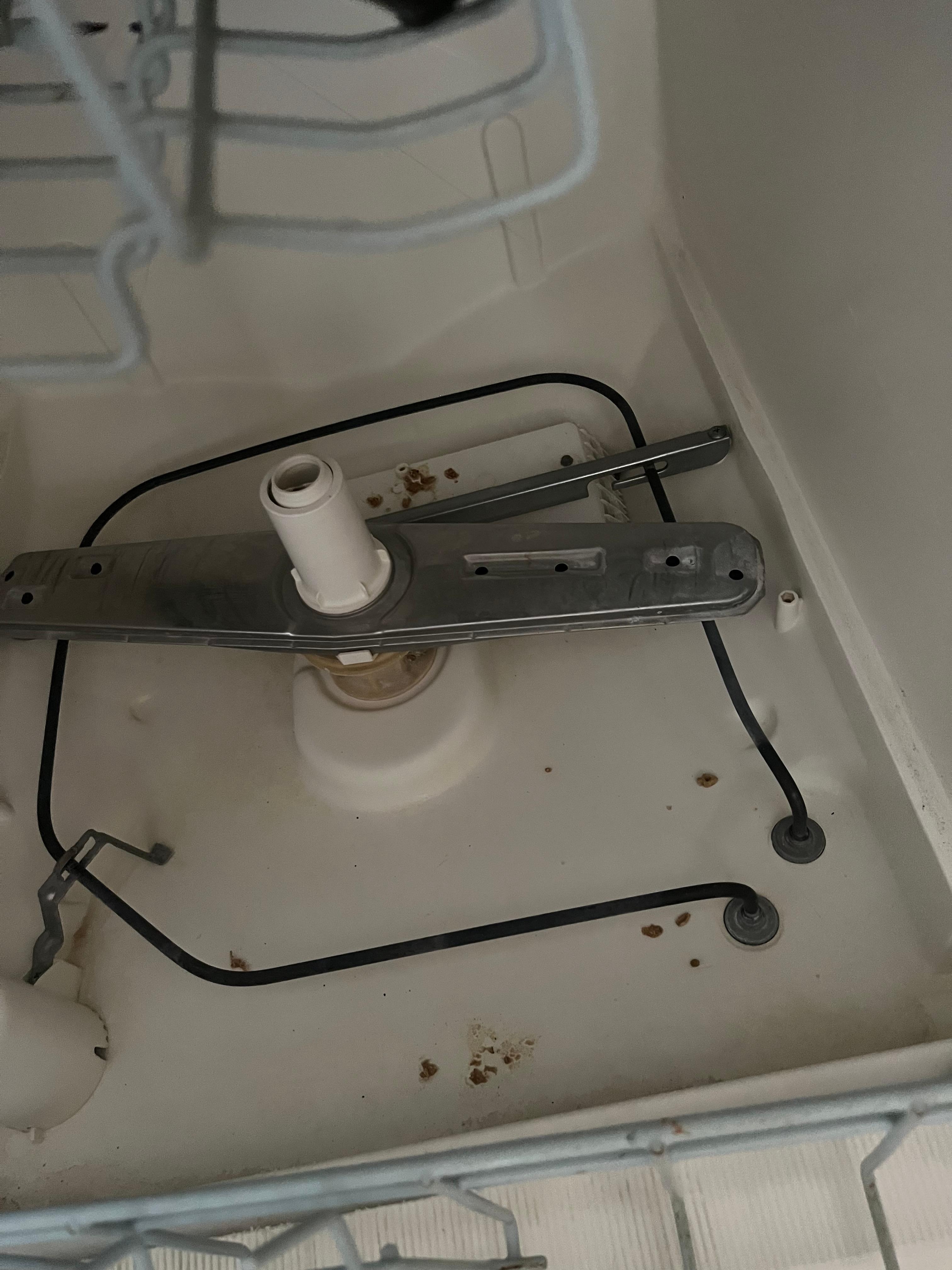 Food debris in dishwasher and kitchen sink.
