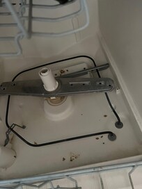Food debris in dishwasher and kitchen sink.
