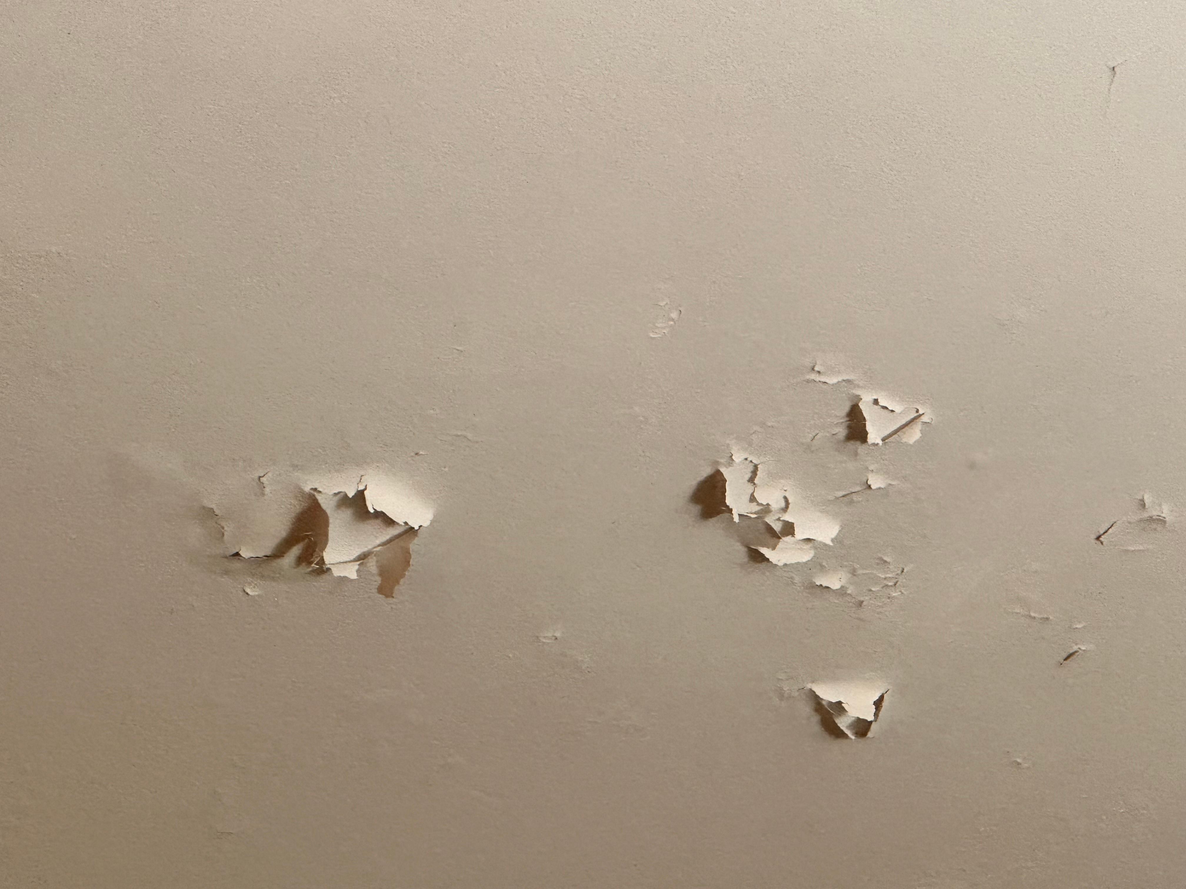 Ceiling needs repainting