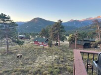 Looking from the deck at the Elk that approached our area