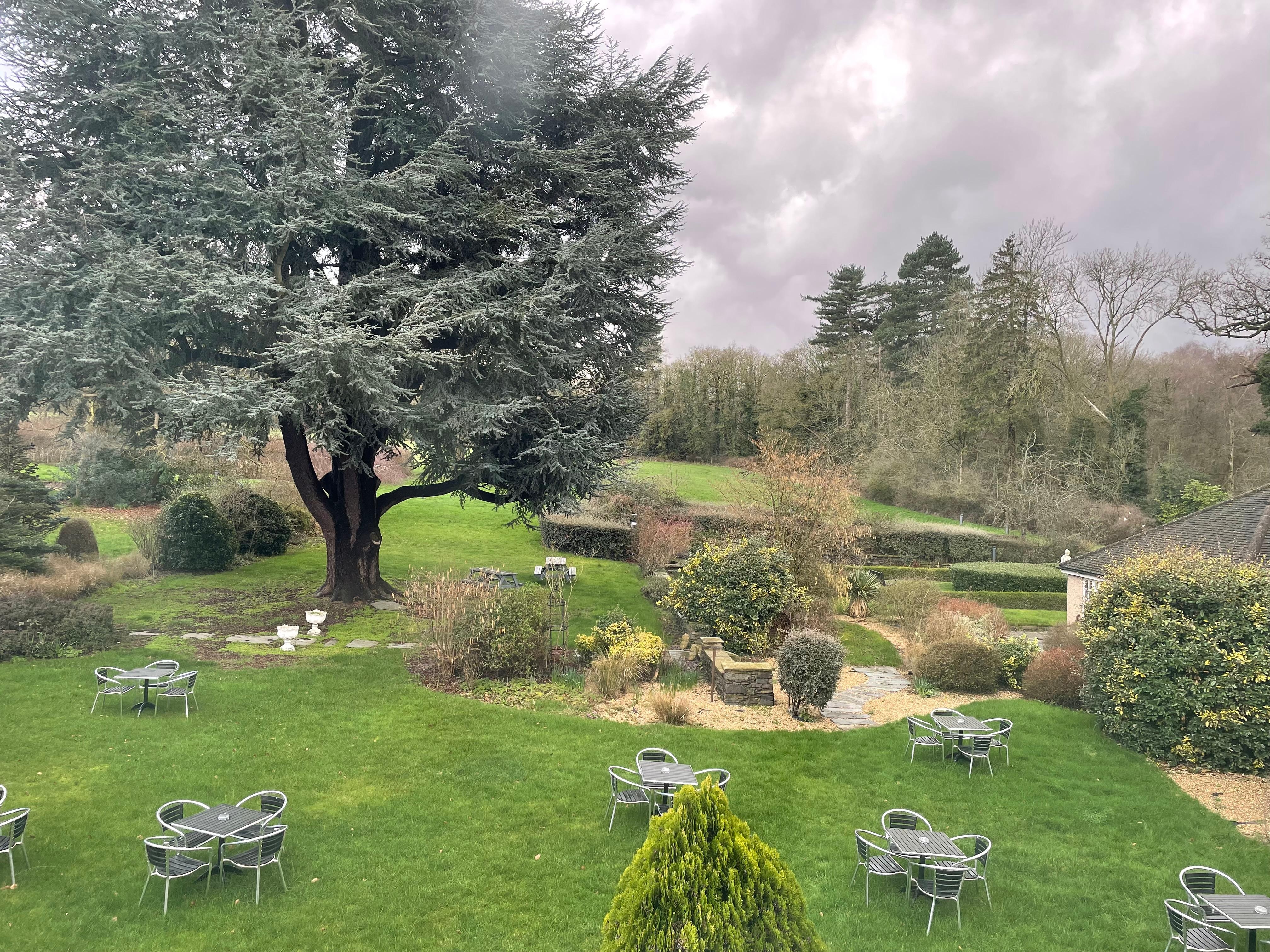 View from the window- beautiful 