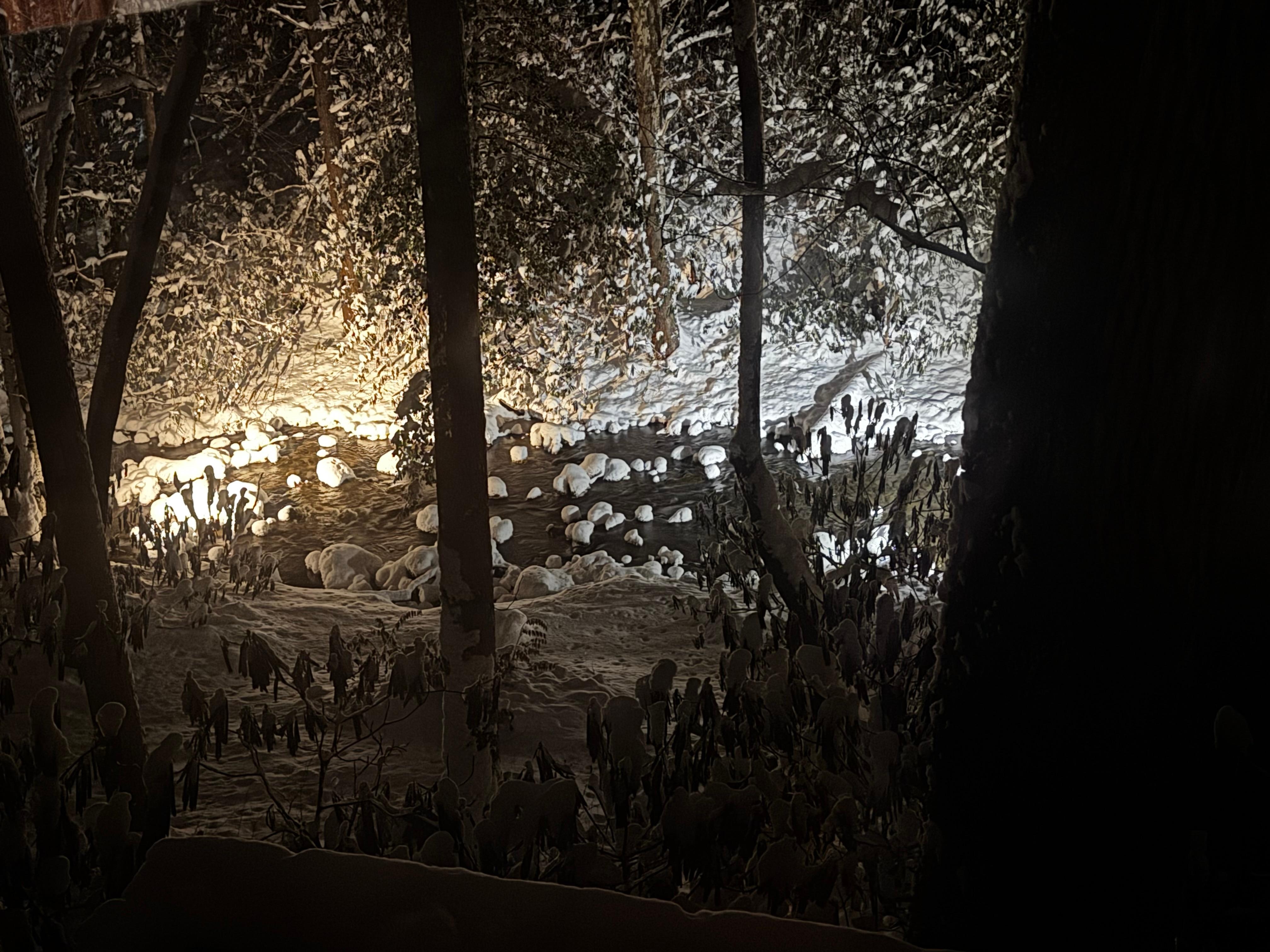 Lights on the creek at night! Beautiful! 