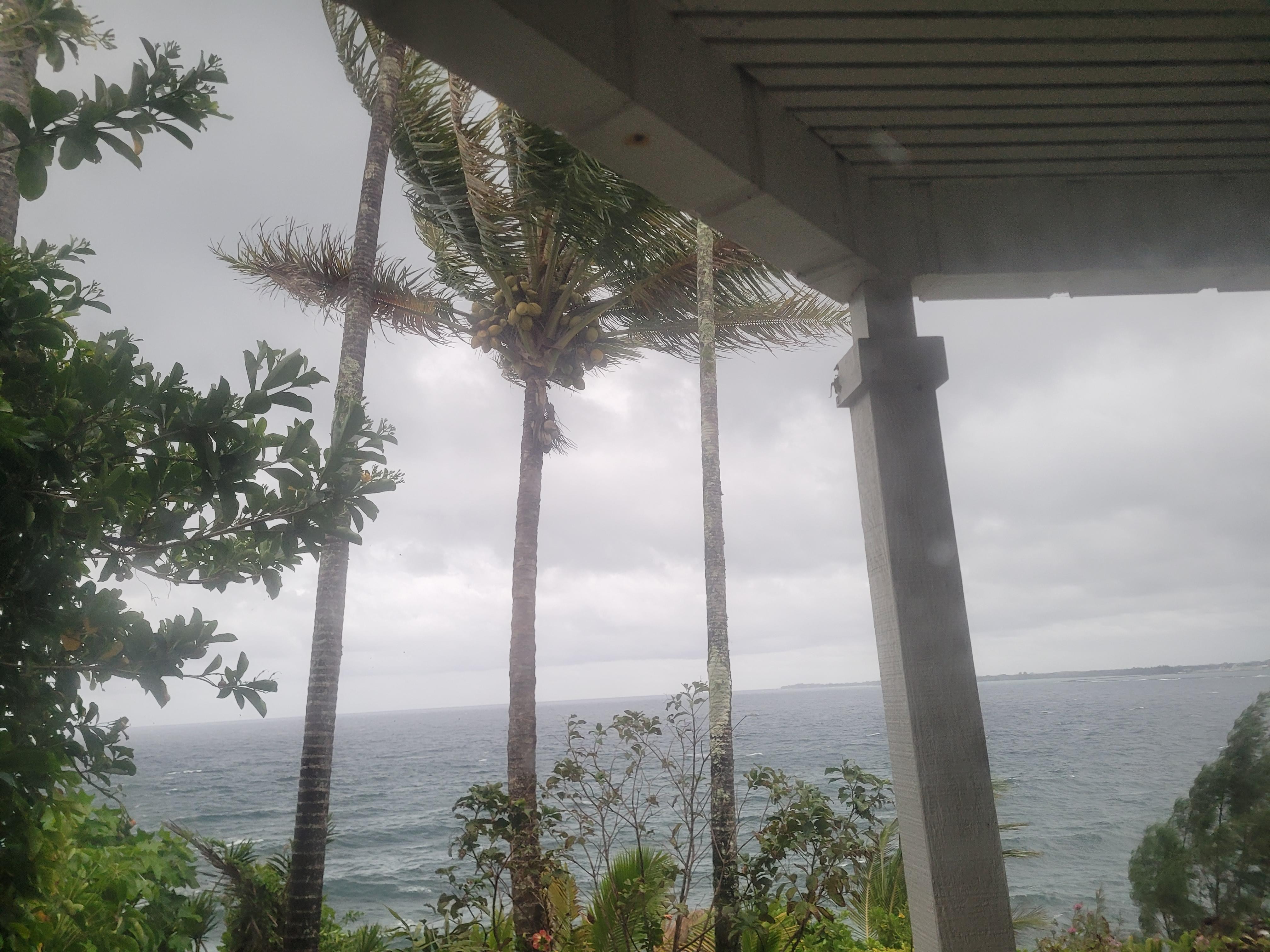 View from Bamboo room