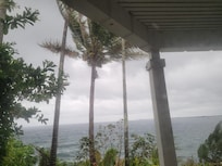 View from Bamboo room