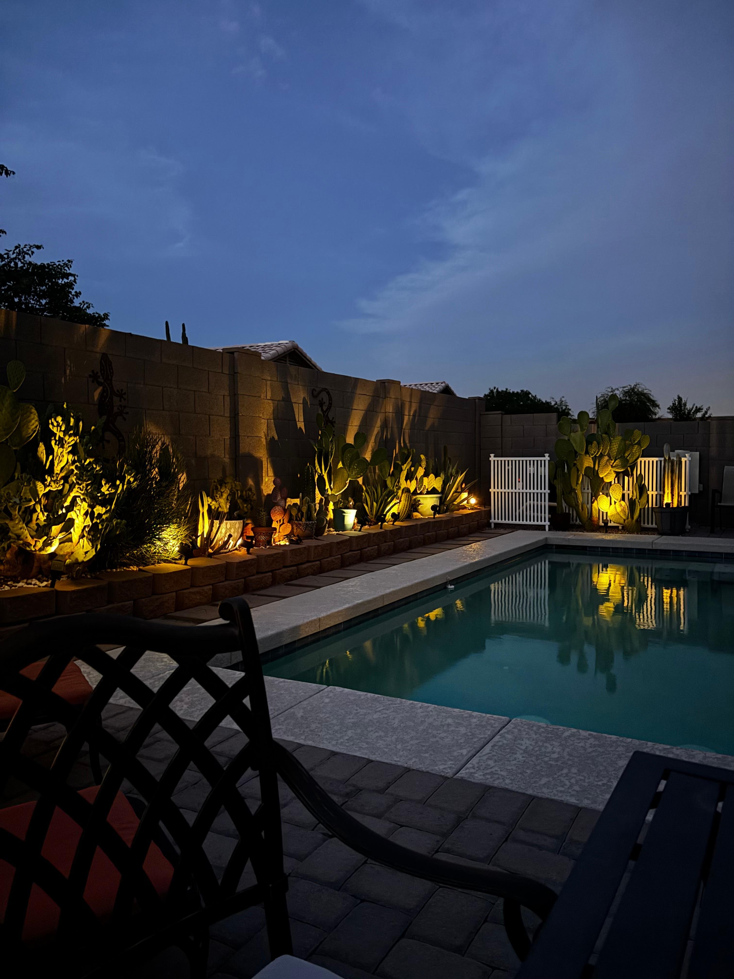 We loved the cactus garden and pool