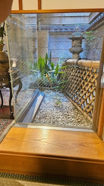 Peaceful small garden near breakfast table
