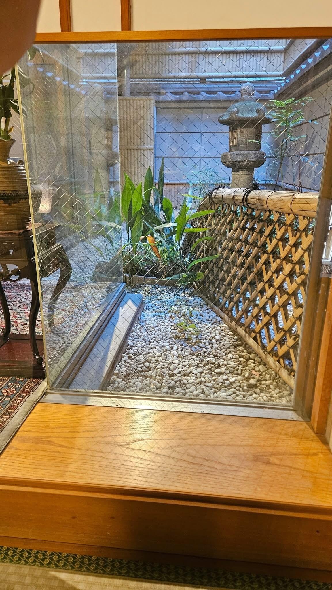 Peaceful small garden near breakfast table 