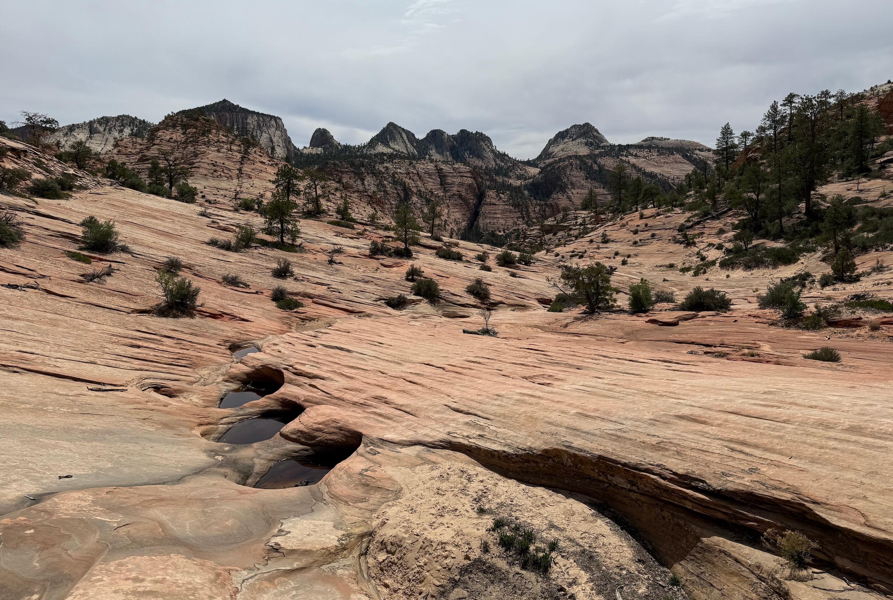 Zion National Park - Many Pools Trail