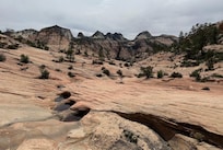 Zion National Park - Many Pools Trail
