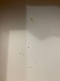 Tar-ish residue in the drawers