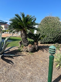 Area at the condos
