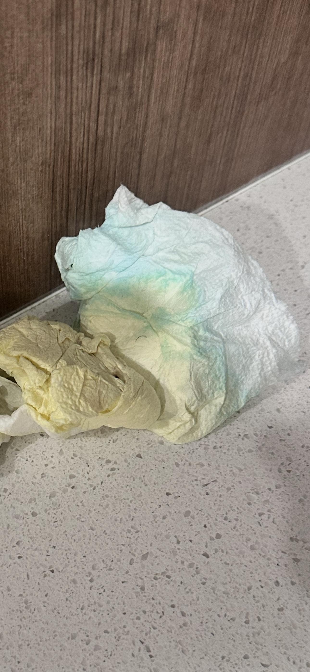 Dirty paper towels left on the kitchen counter 