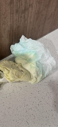 Dirty paper towels left on the kitchen counter
