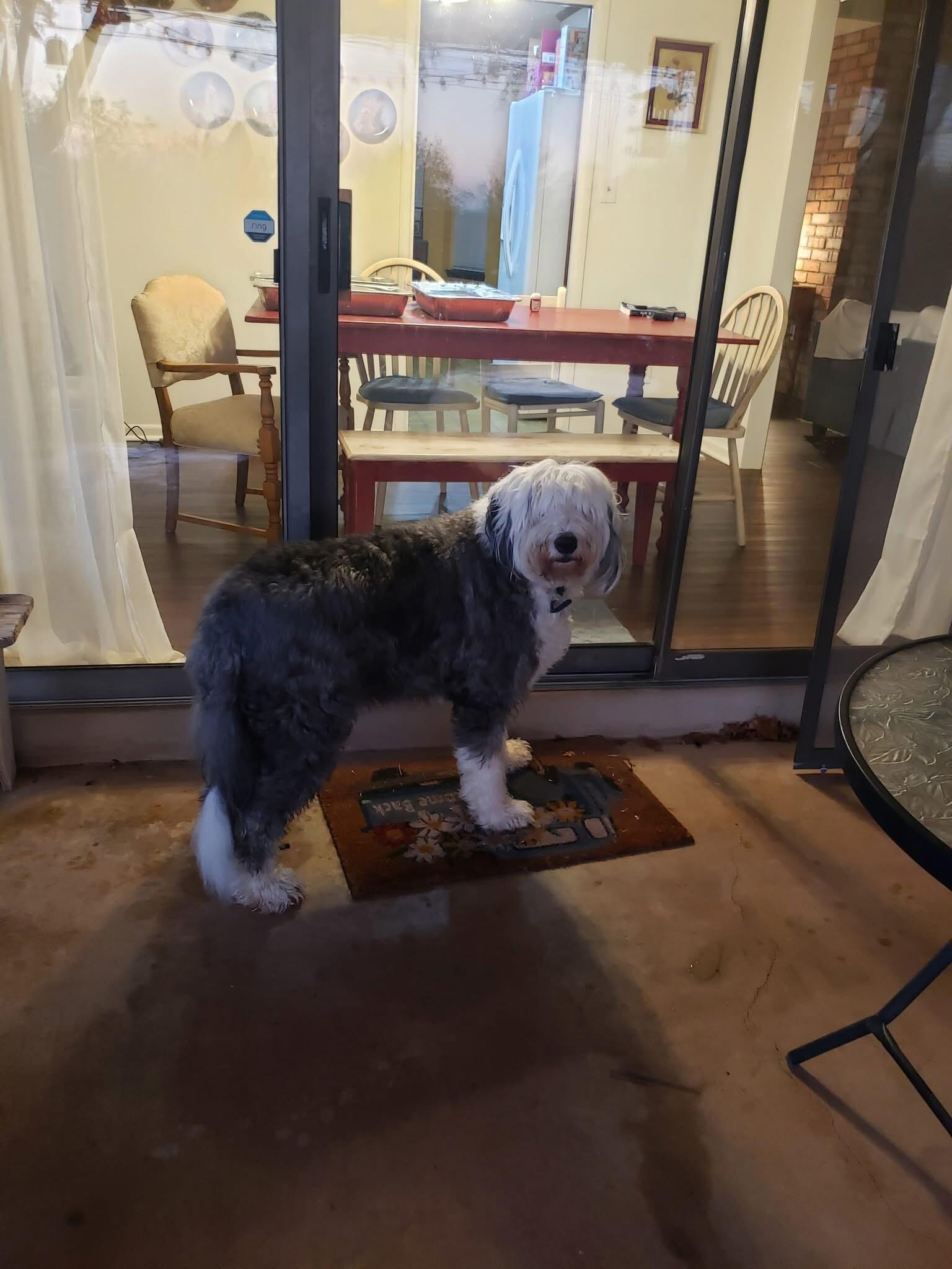 Lucy enjoyed the time at Maxine’s place