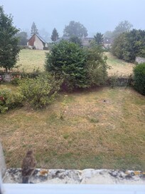 View from the bedroom window.