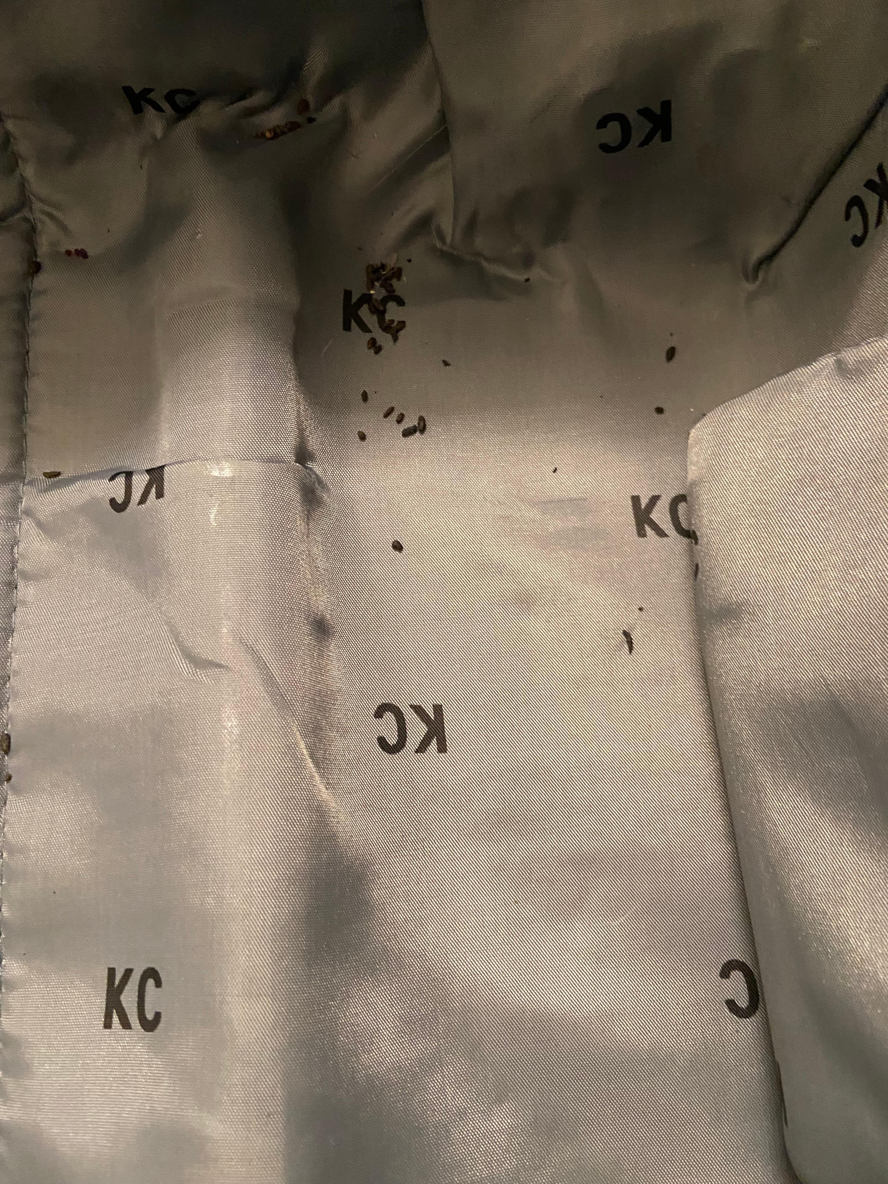 Mouse droppings in our suitcase after an afternoon out! Hotel would not give any compensation even though we left early because of unsanitary conditions. Paid for 2 nights even though we left 1st day! Very upsetting to say the least!