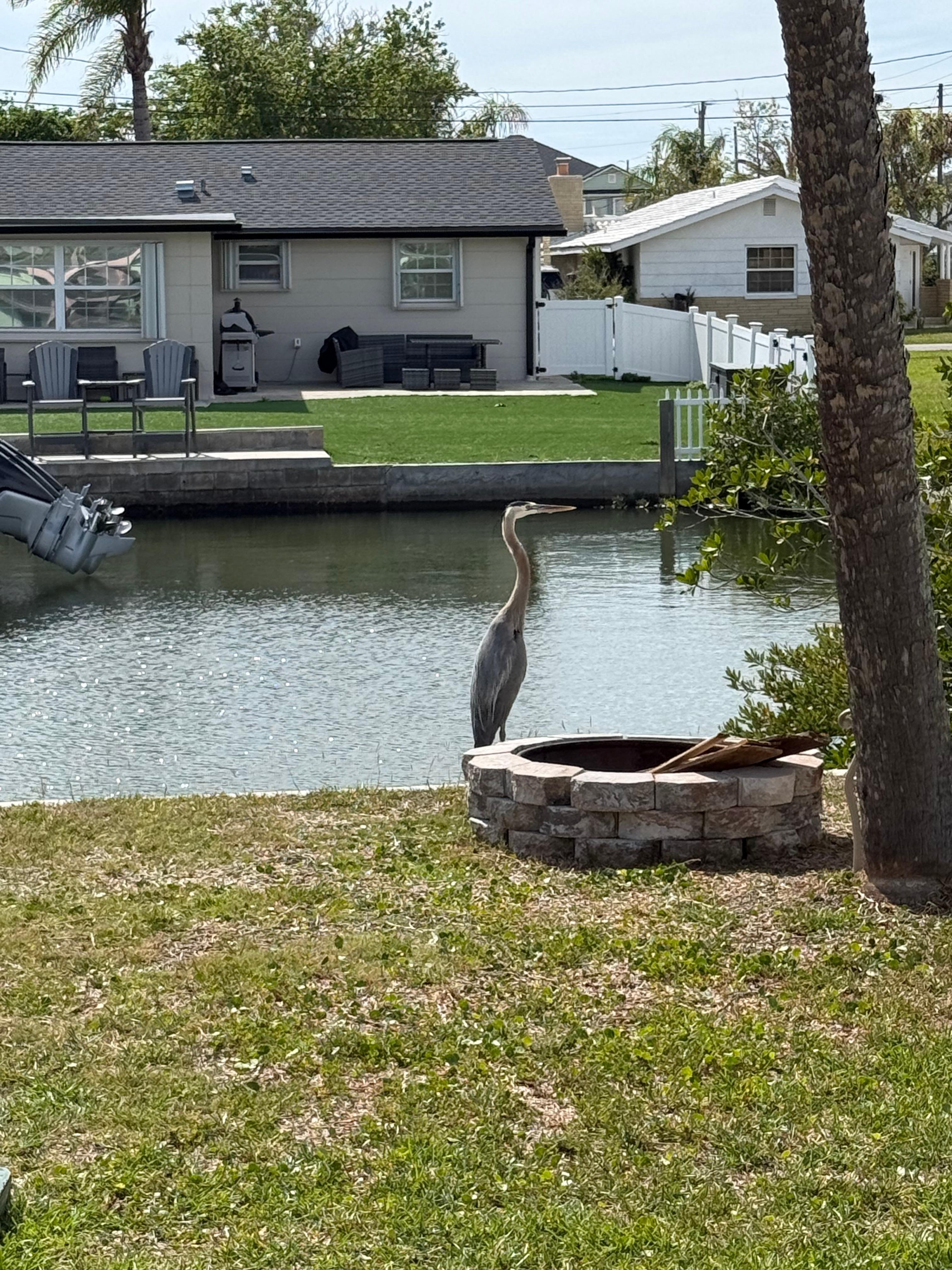 View from the kitchen
