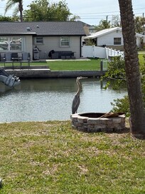 View from the kitchen