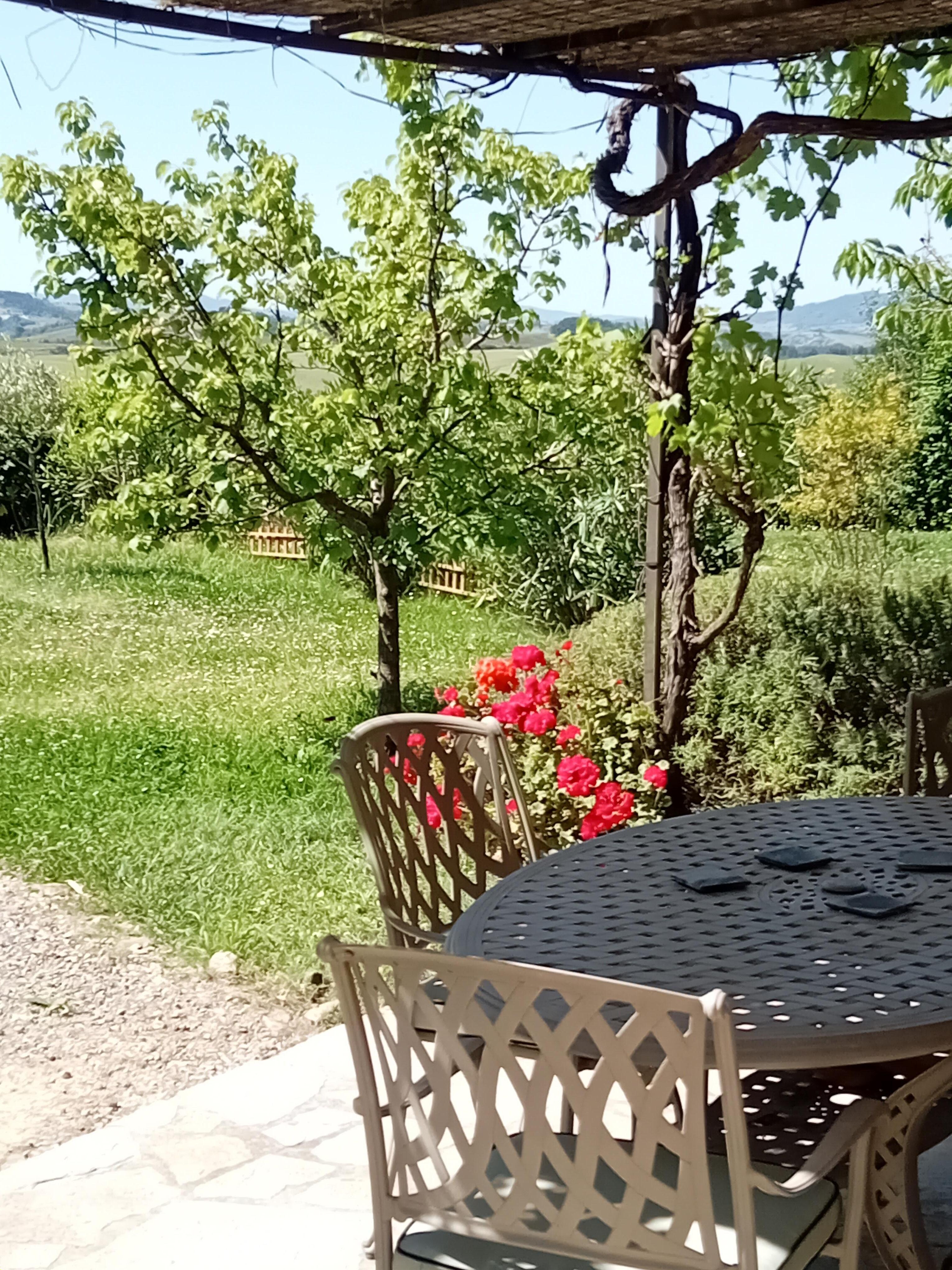 Shaded patio