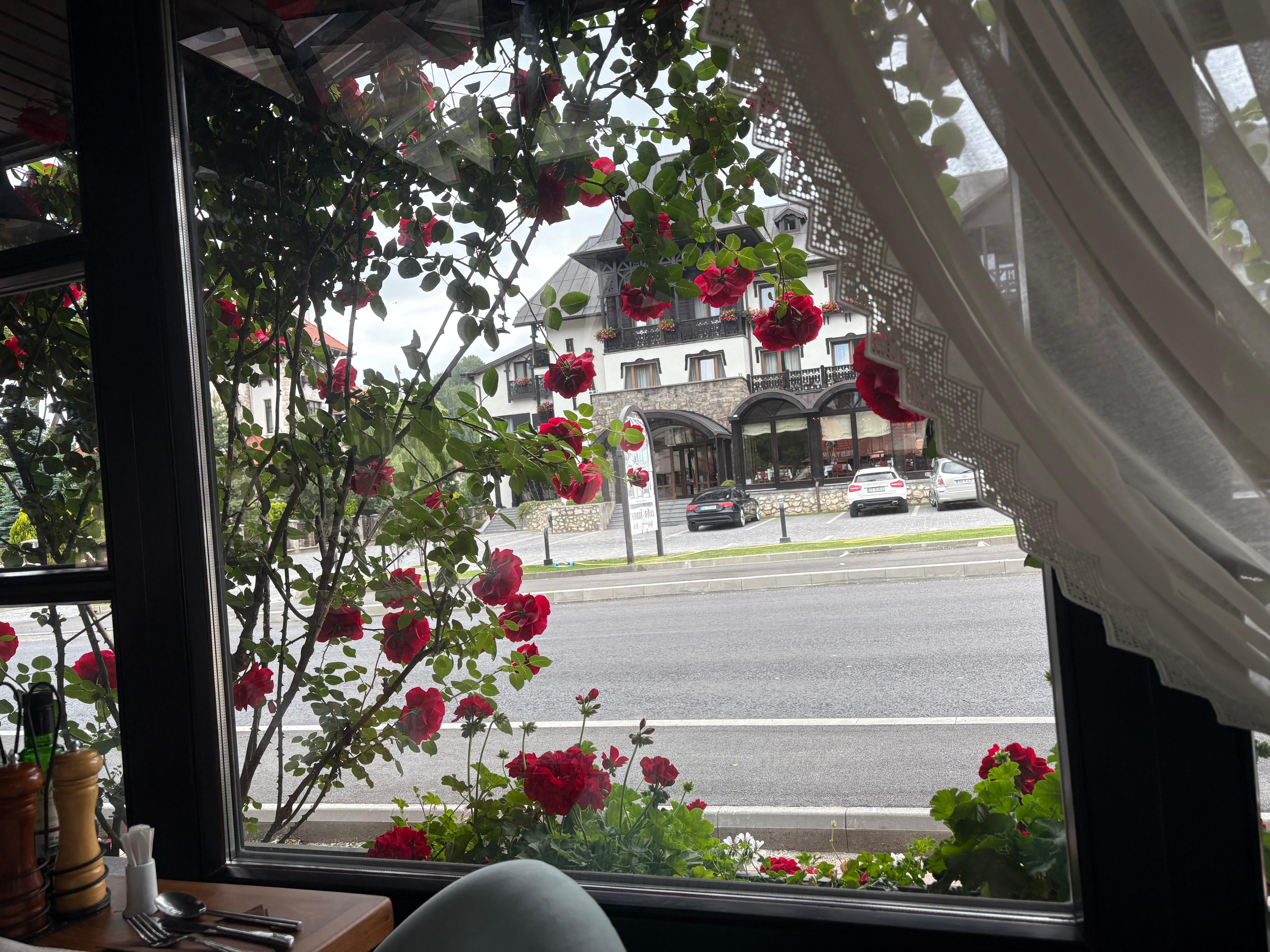 Fairytale morning view ☕️