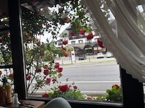 Fairytale morning view ☕️