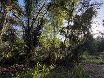 Morning view from the outdoor eating area.