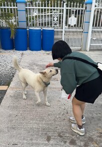 Petting the super friendly dog❤️