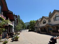 the villiage