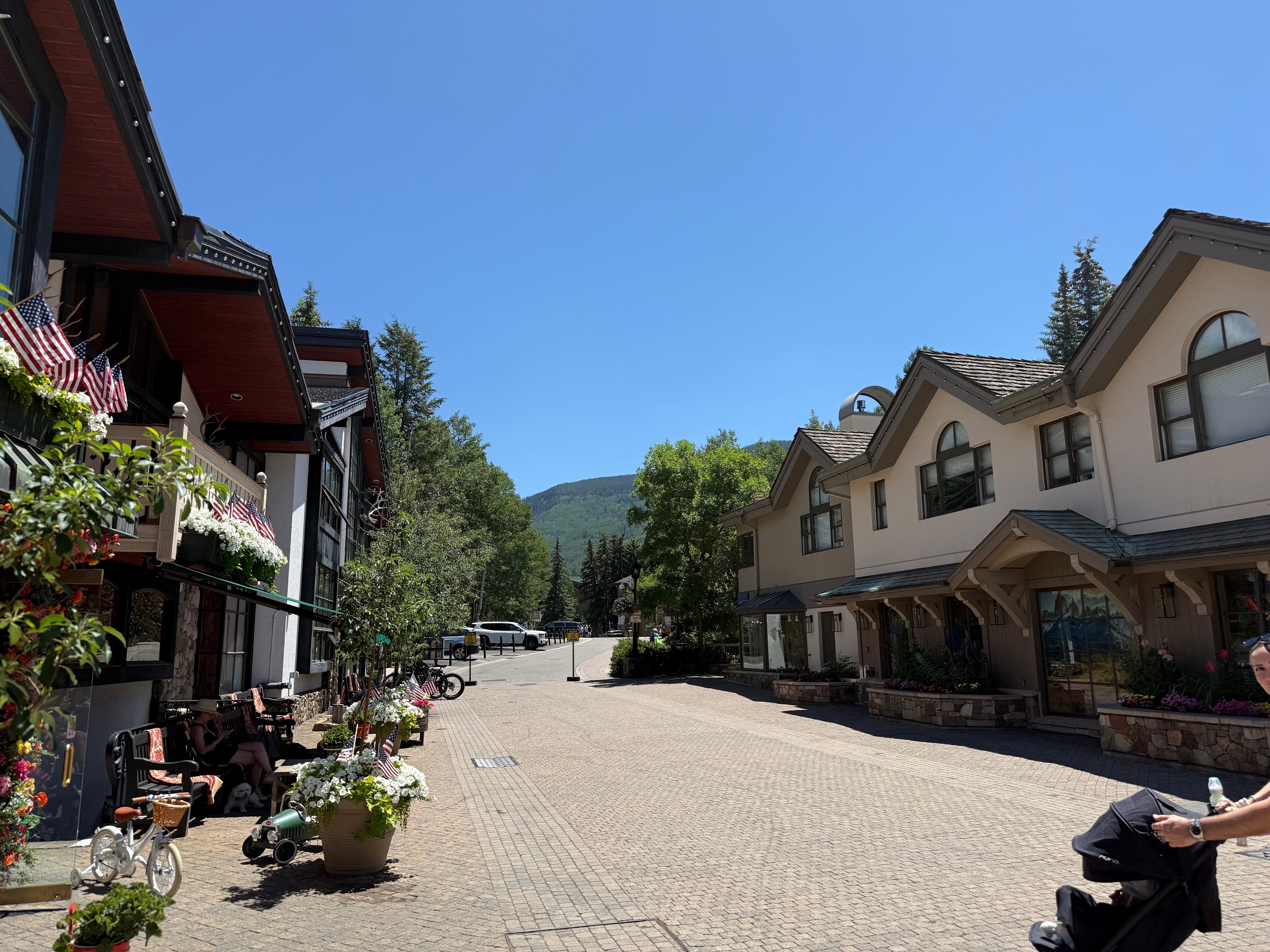 the villiage