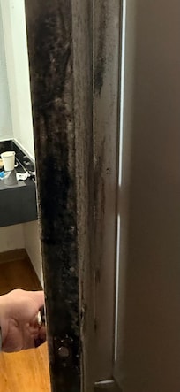 Black mold completely covered and literally dripping from the moisture