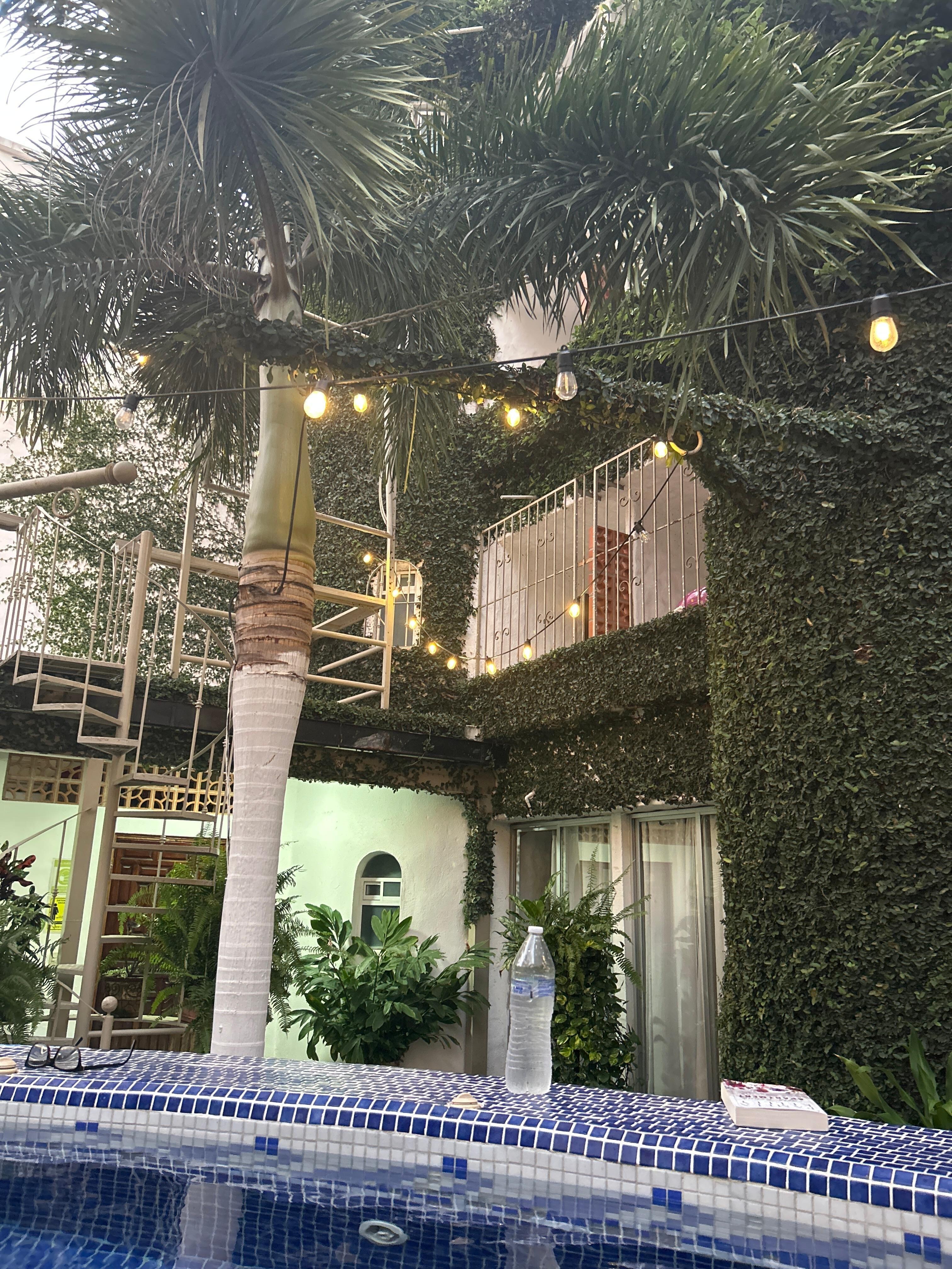 The back area & pool.