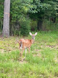 Friendly neighbors