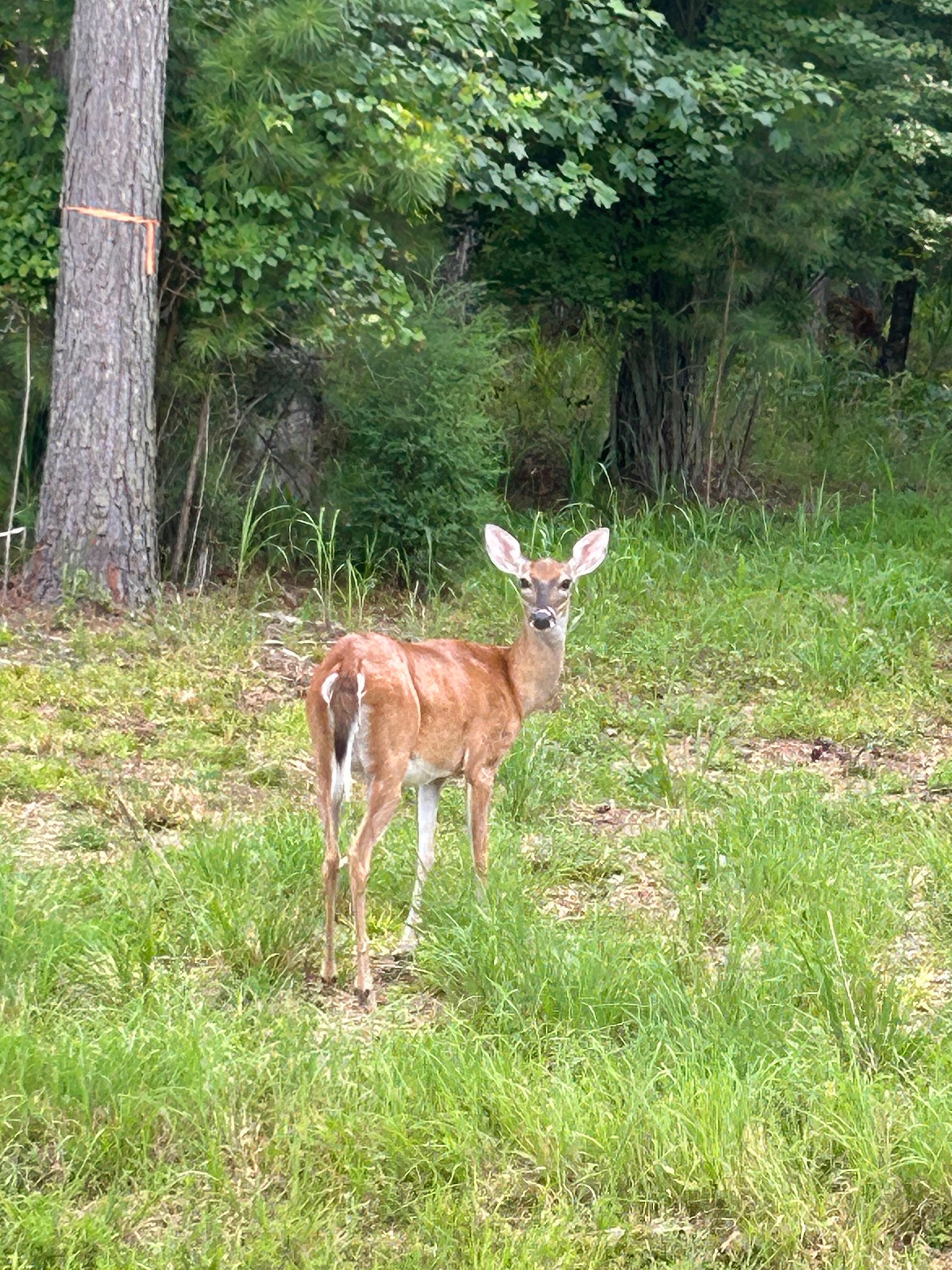 Friendly neighbors 