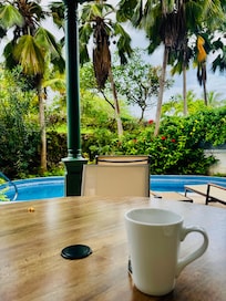 breakfast with the birds