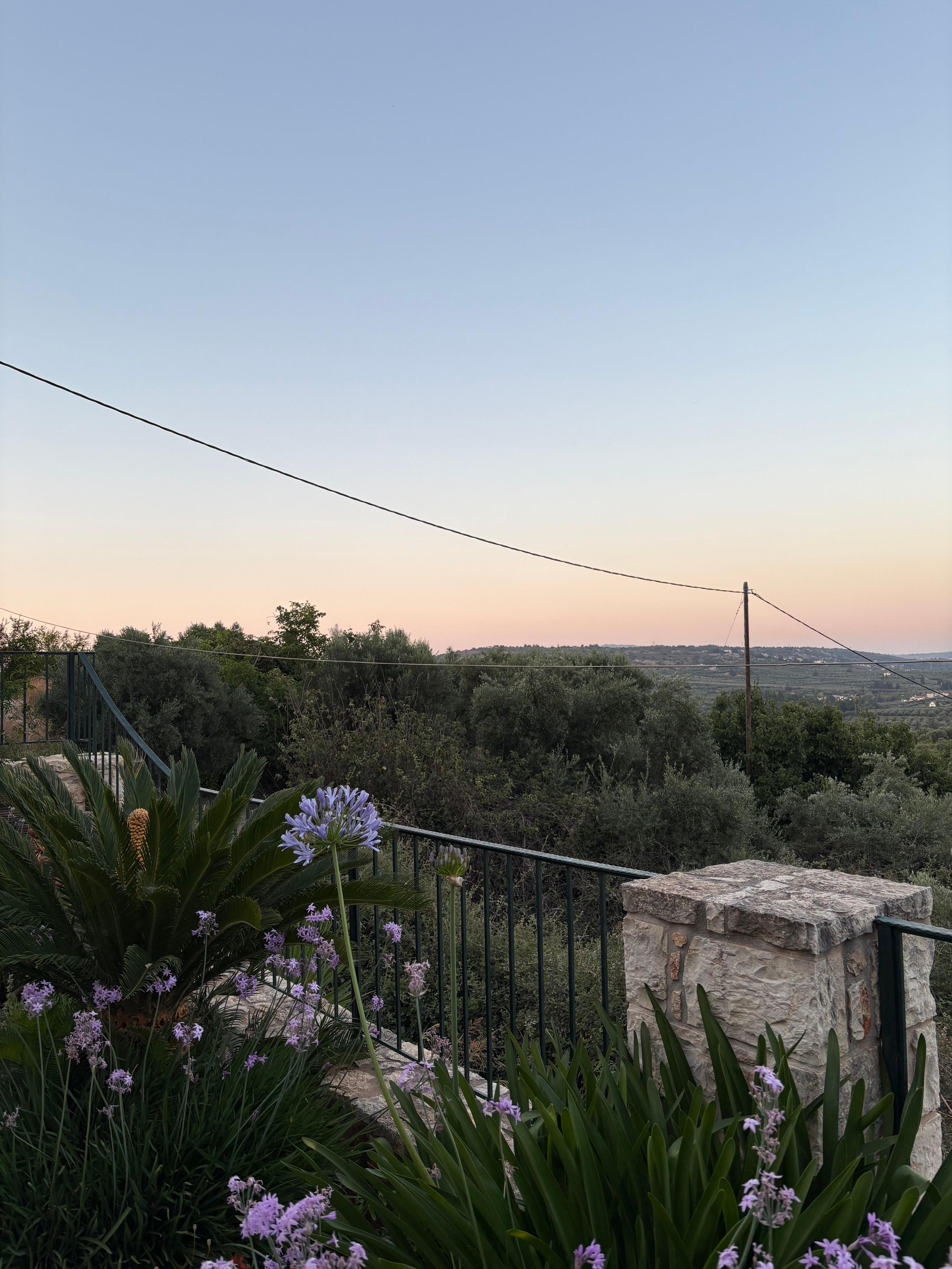 View from guests patio