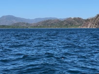 View of the beach from The boat