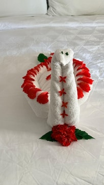 Everyday a different animal