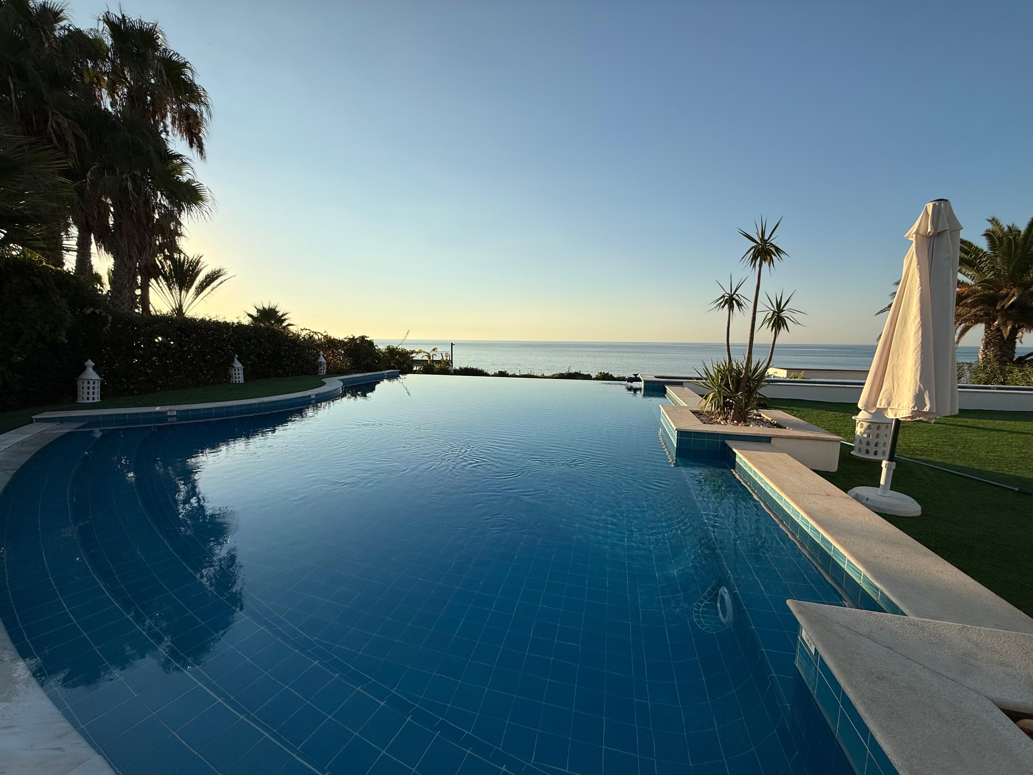 Morning from the back patio