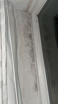 Black mold on the wall by the window.