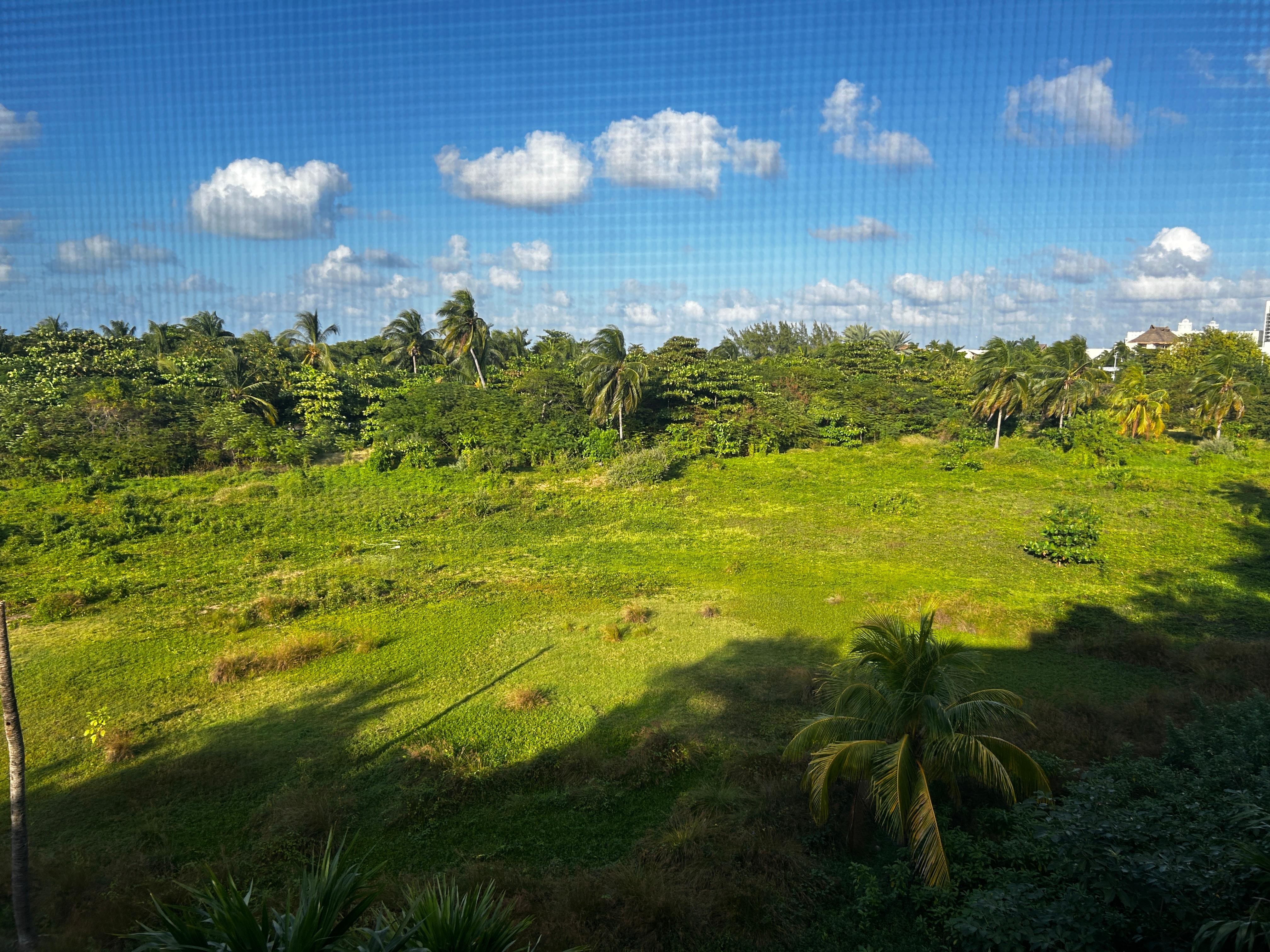 View from the bedroom. 