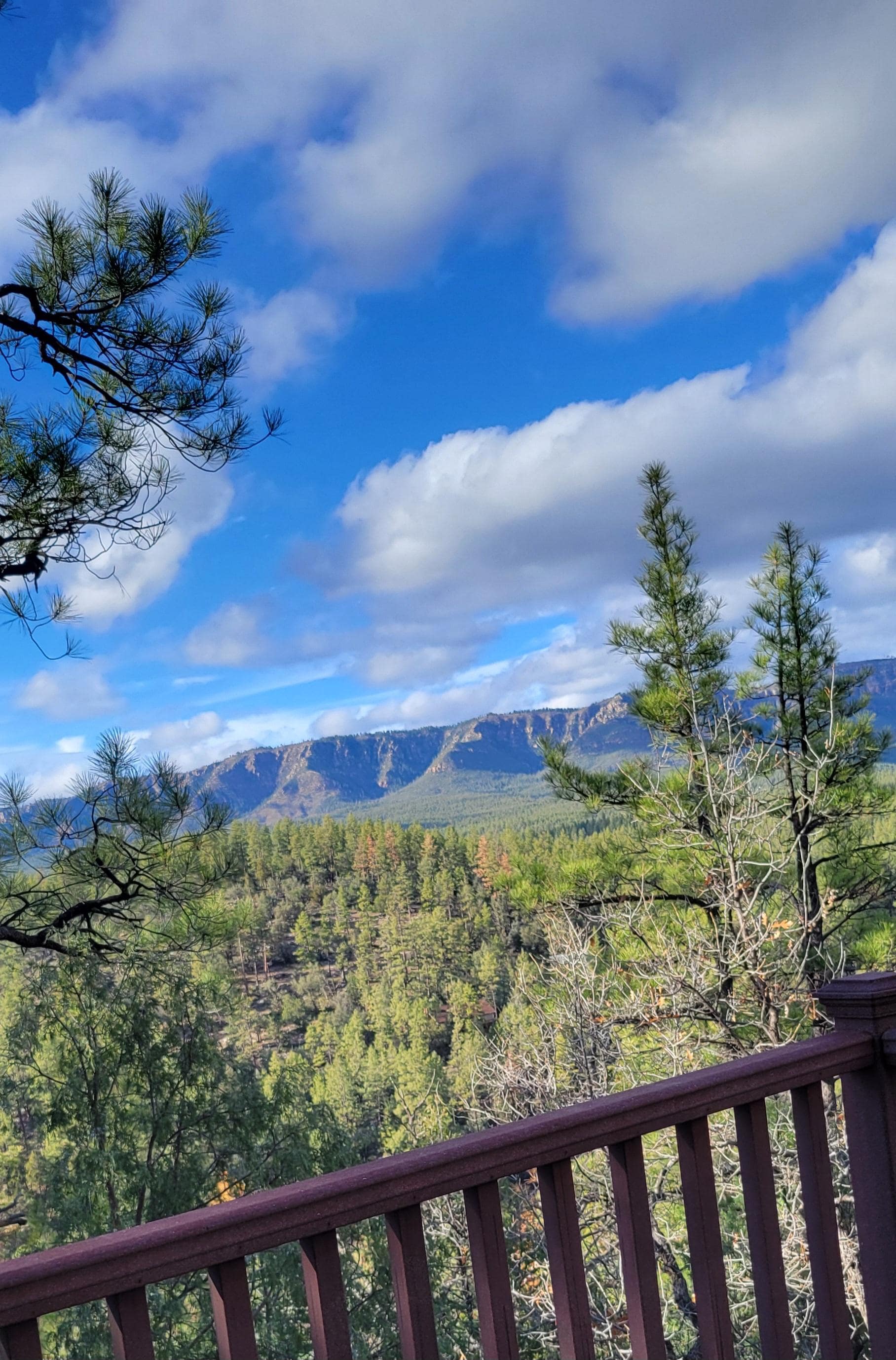 The view from the balcony 