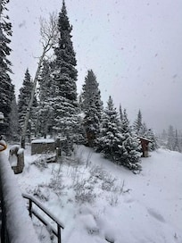 Is was the only time it snowed when we were there.12/27/25