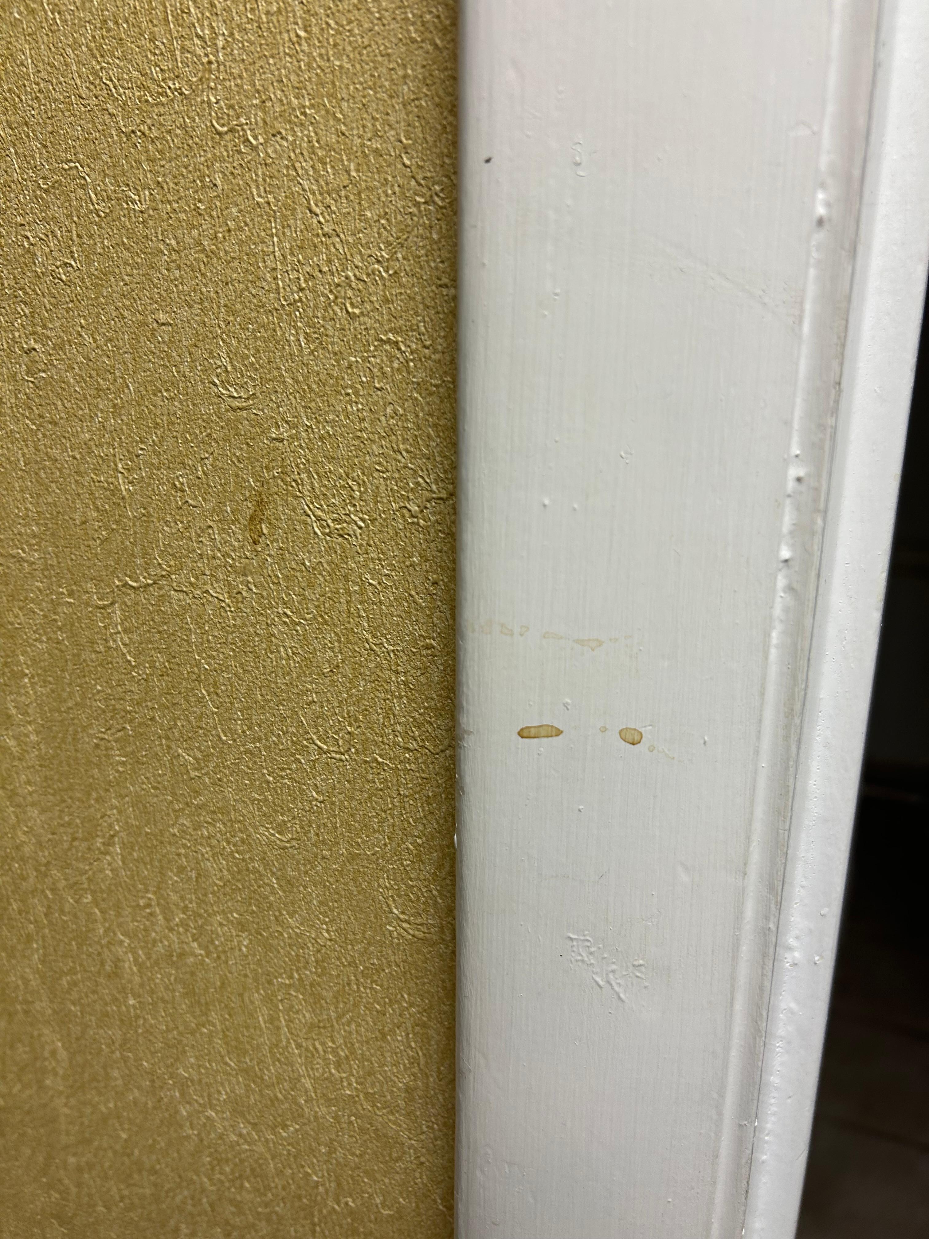 Mystery substance on wall