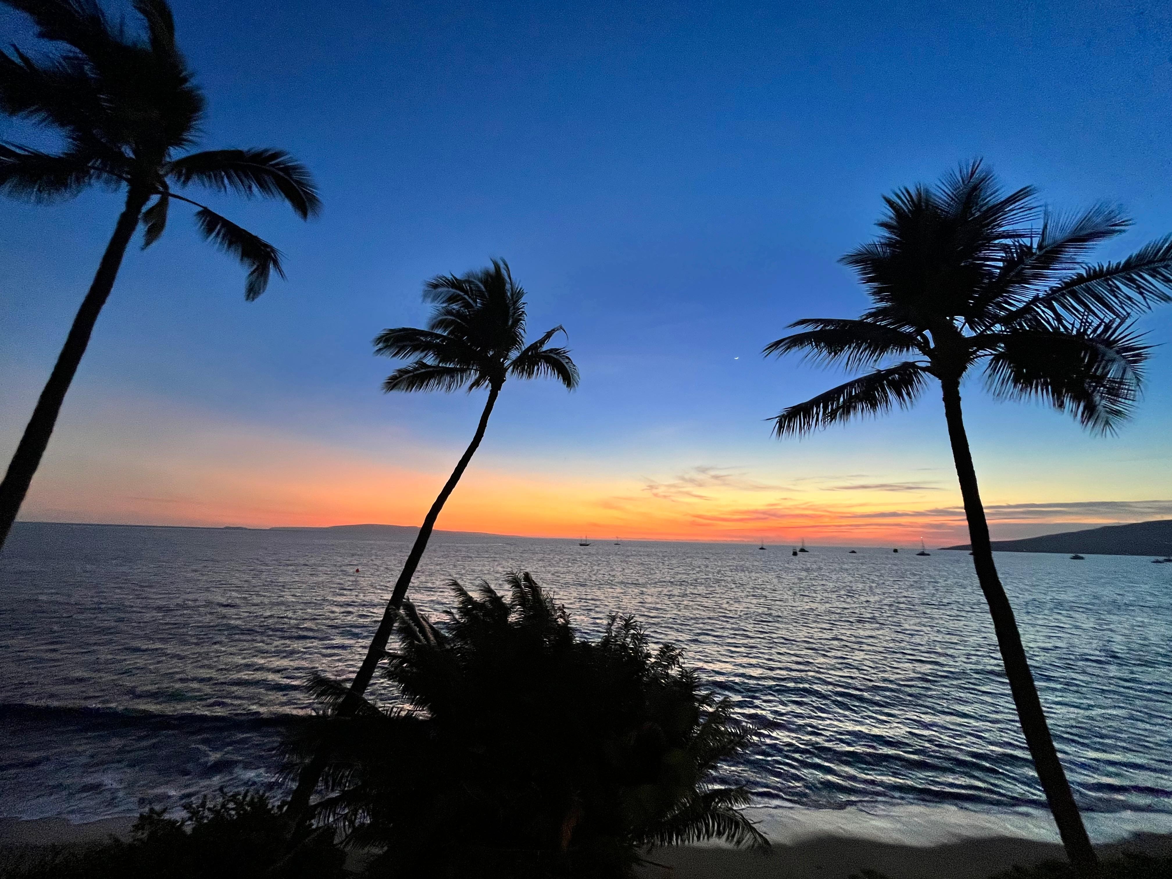 The colors are spectacular! 