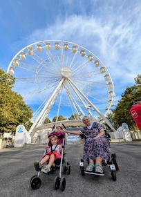The ferris wheel