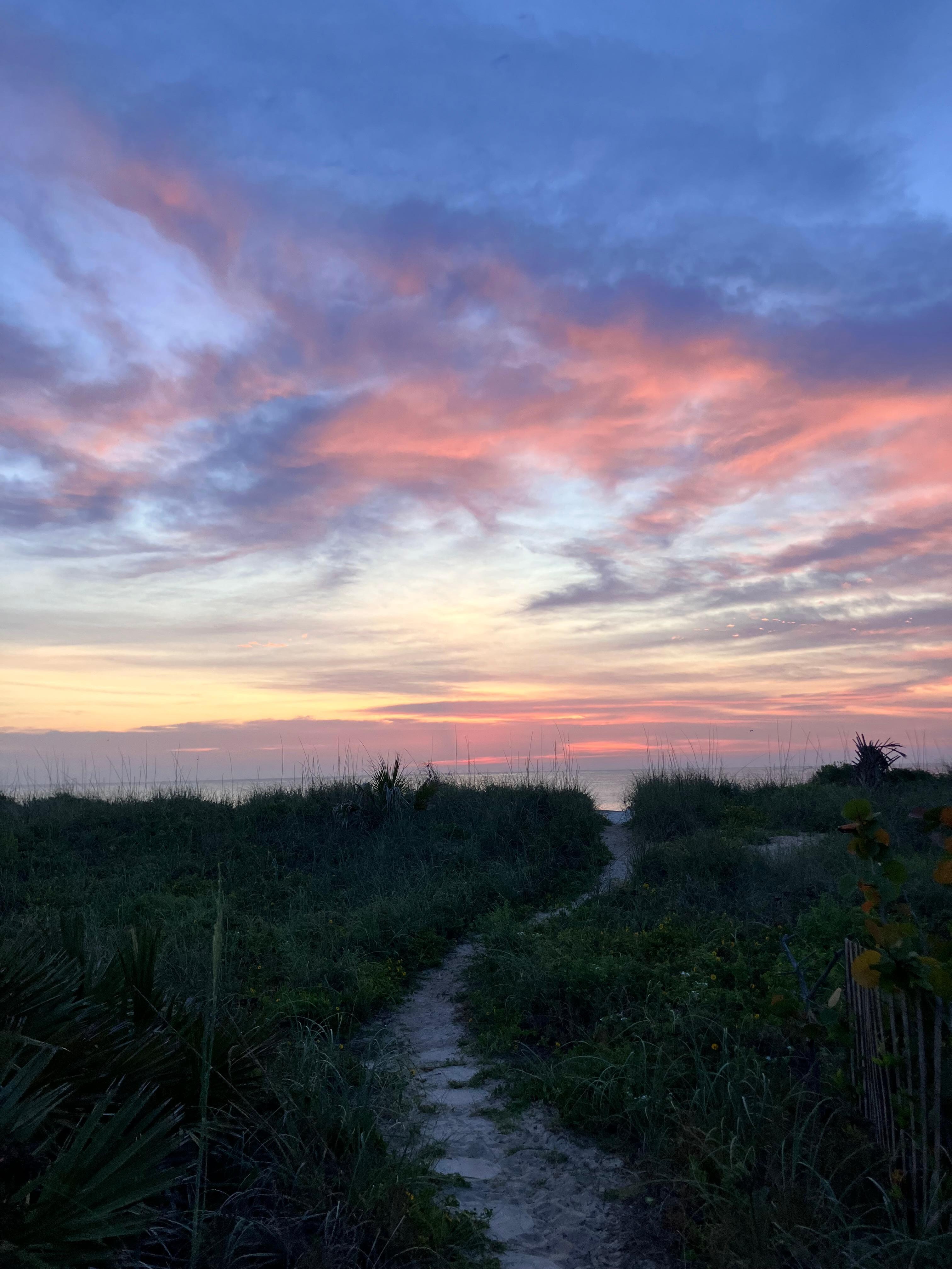 Sunrise from the backyard. 