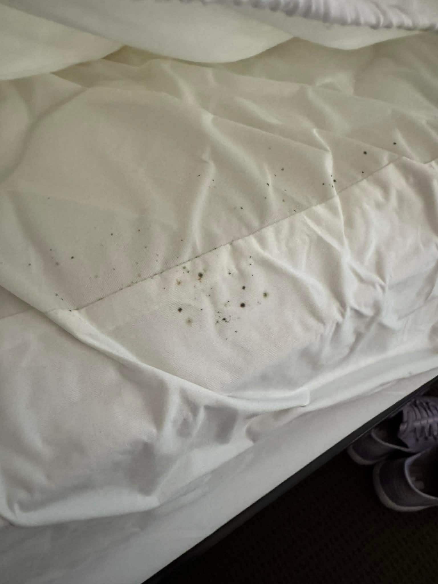 Mold in the mattress 
