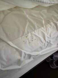 Mold in the mattress